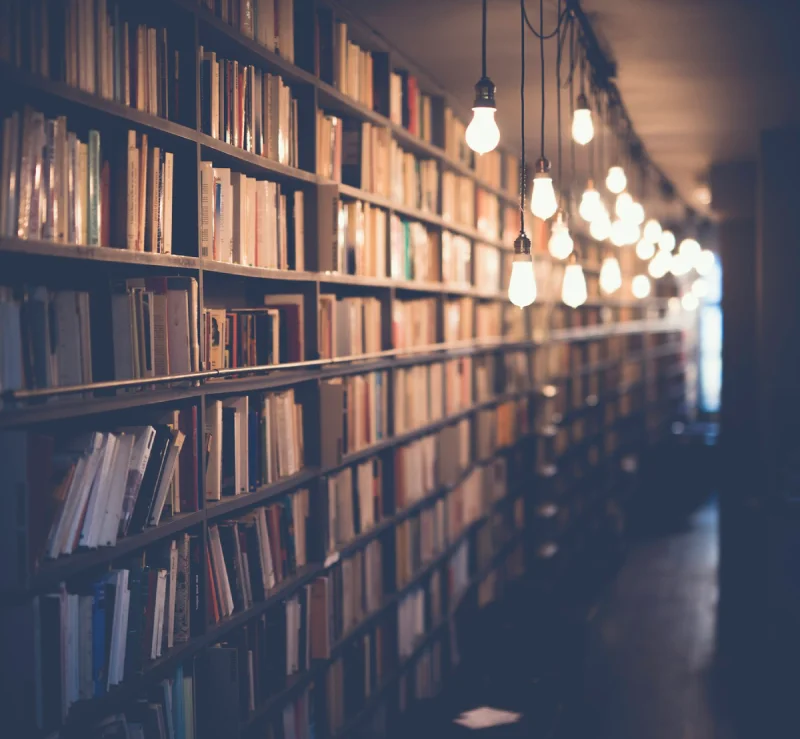 Reader browsing books in a library