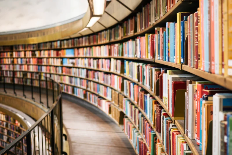 Collection of books representing bestseller potential